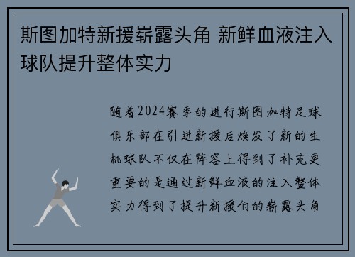 斯图加特新援崭露头角 新鲜血液注入球队提升整体实力