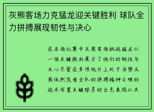 灰熊客场力克猛龙迎关键胜利 球队全力拼搏展现韧性与决心