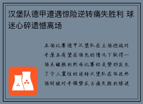 汉堡队德甲遭遇惊险逆转痛失胜利 球迷心碎遗憾离场