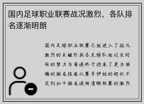 国内足球职业联赛战况激烈，各队排名逐渐明朗
