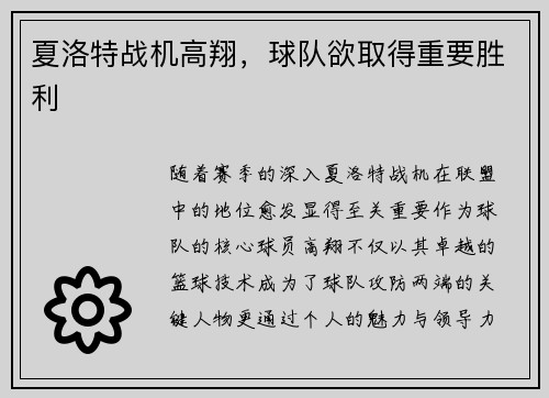 夏洛特战机高翔，球队欲取得重要胜利