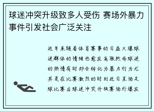 球迷冲突升级致多人受伤 赛场外暴力事件引发社会广泛关注